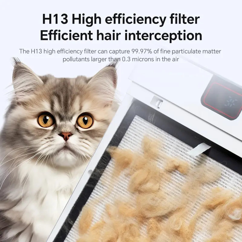 Small Indoor Odor-Free Floating Hair Treatment Option Pets Beneficial Sustainable Small Animals Factory Price Pet Waste Disposal