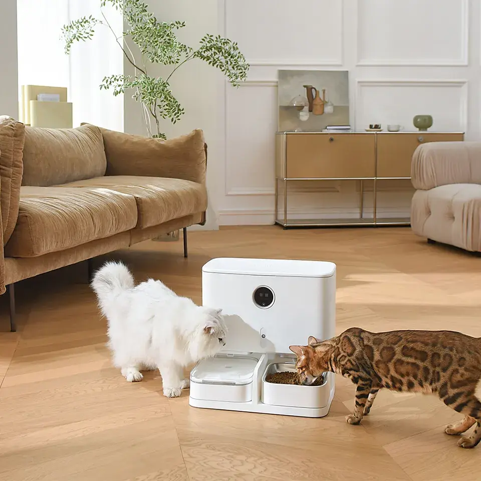 Wholesale 2- In-1 Smart Pet Water Dispenser and Food Feeder with Camera and App Automatic WiFi Control