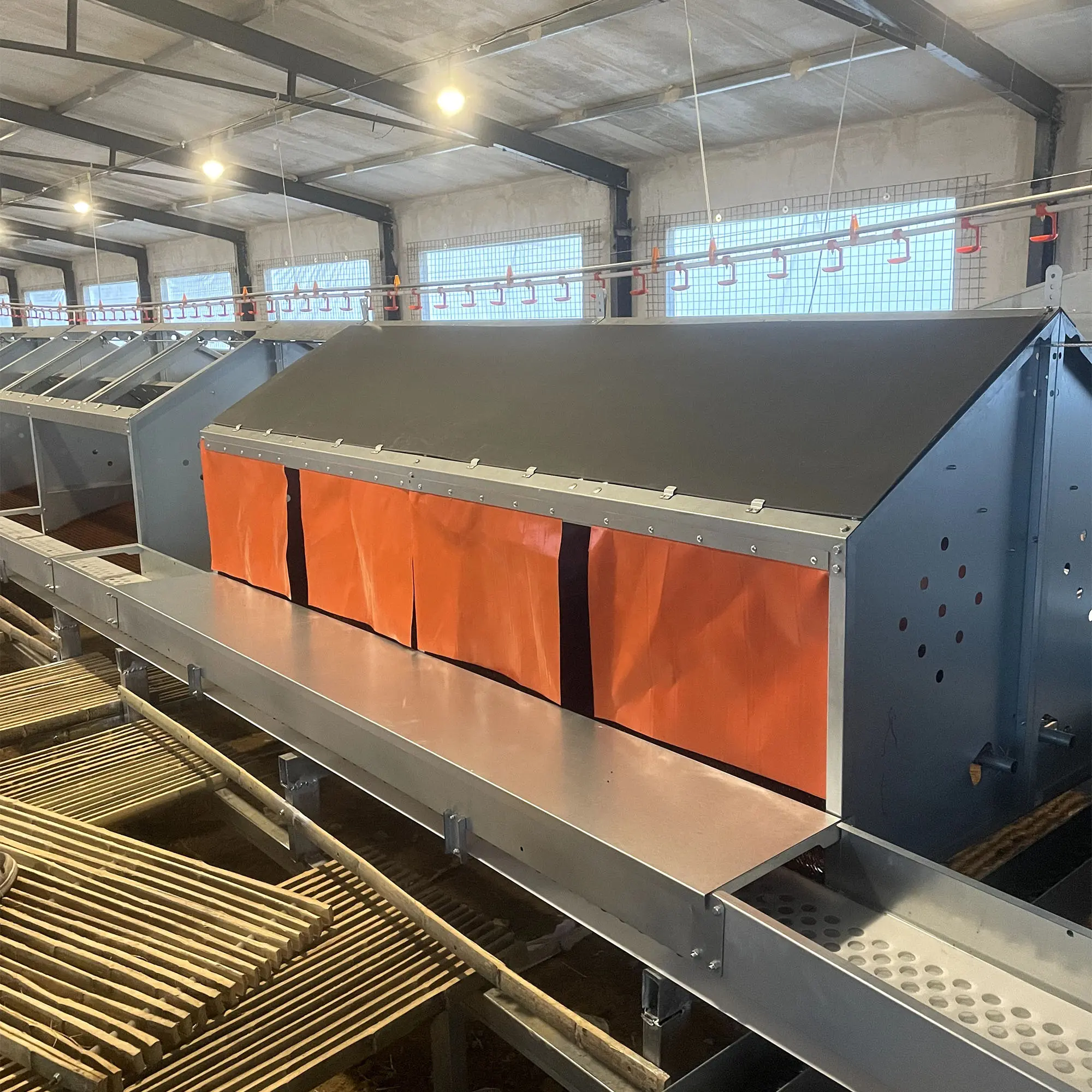 Fully Automatic Poultry Farm Cage Chicken Feeding Equipment for Sale