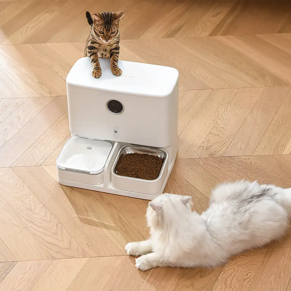 Wholesale 2- In-1 Smart Pet Water Dispenser and Food Feeder with Camera and App Automatic WiFi Control