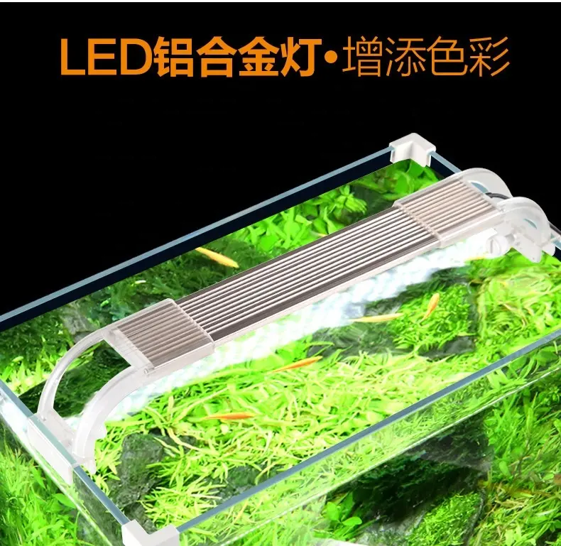 50cm Low Iron Glass (31L/8.2 US Gal) Portable Table Aquarium Fish Tank with LED Light