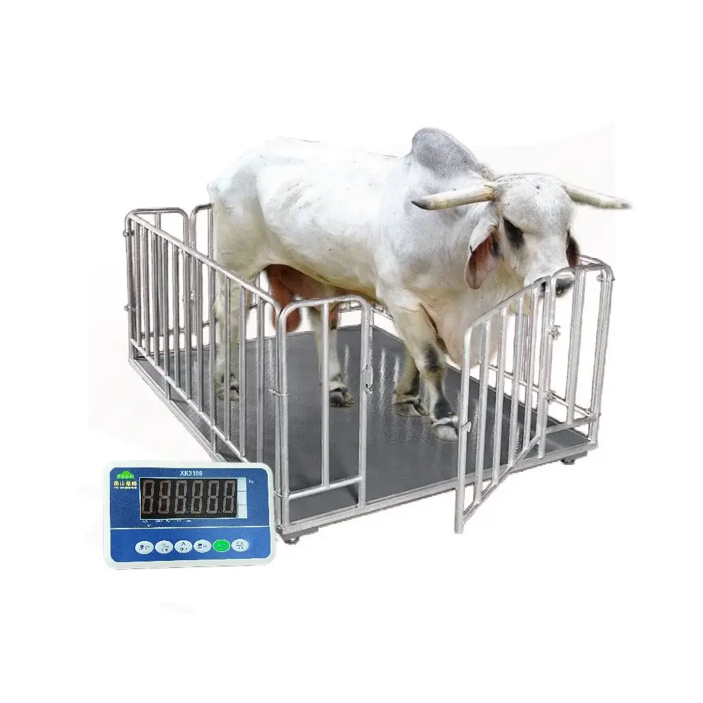 Hot Sale Animal Weight Scale Electronic Weighting Cattle Livestock Platform Scales Cattle Scales 0.8*0.8m 1*1m platform