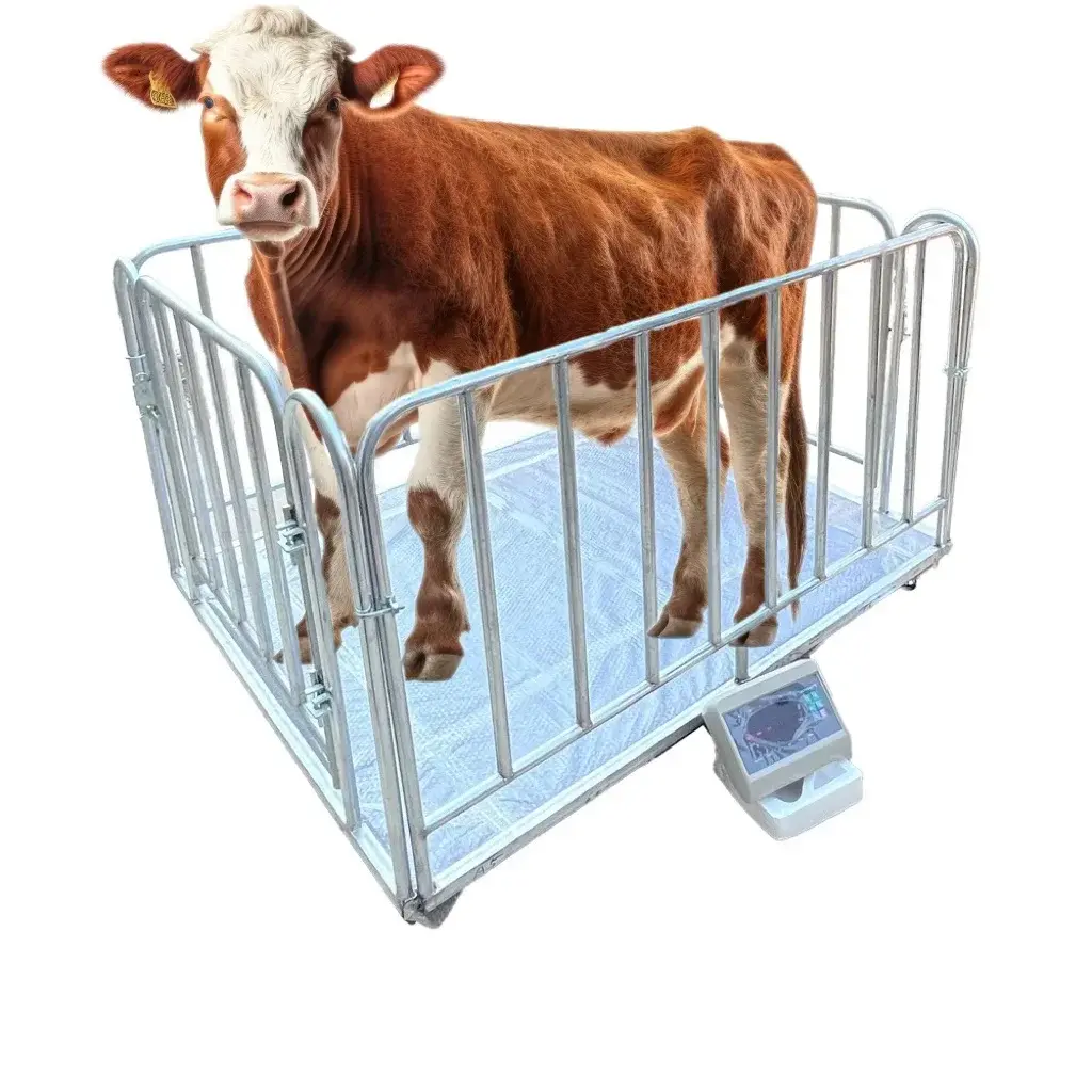 Hot Sale Animal Weight Scale Electronic Weighting Cattle Livestock Platform Scales Cattle Scales 0.8*0.8m 1*1m platform