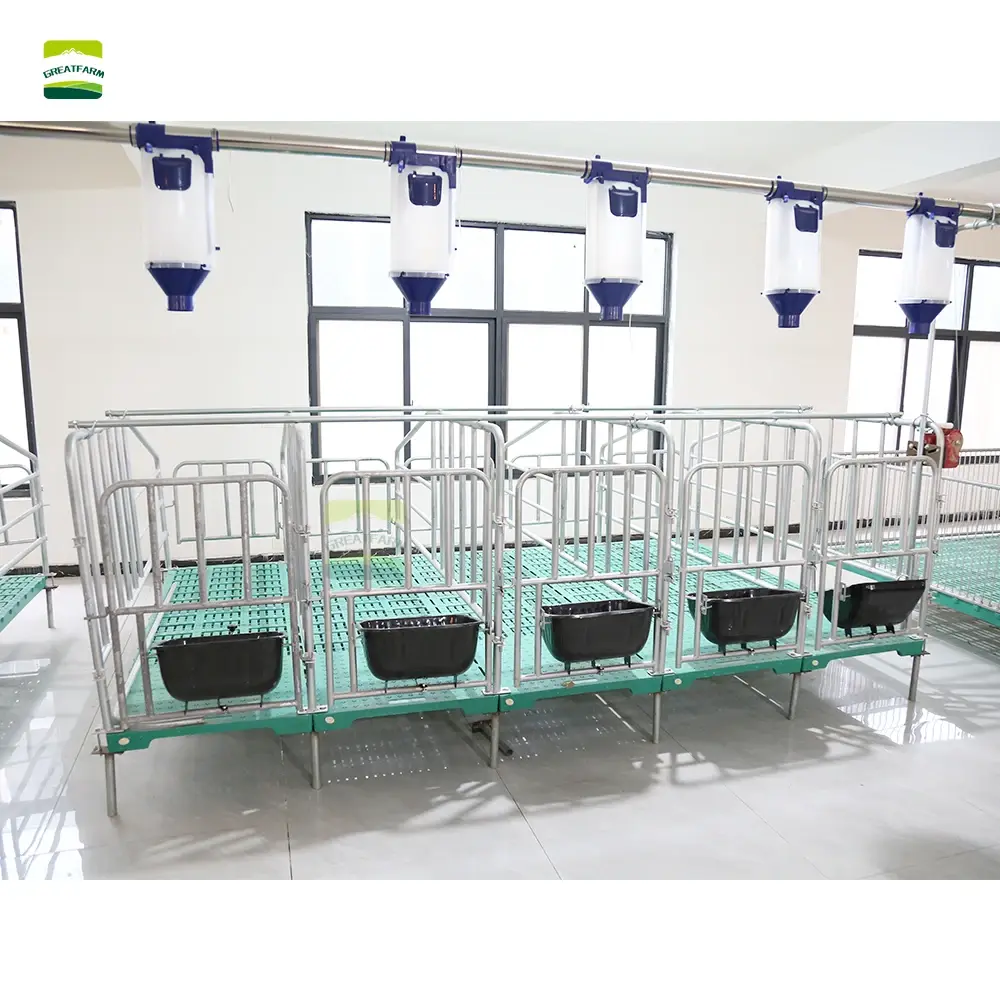 GREAT FARM  galvanized pig pen Integrated installation of specialized equipment for sow positioning pens and breeding farms