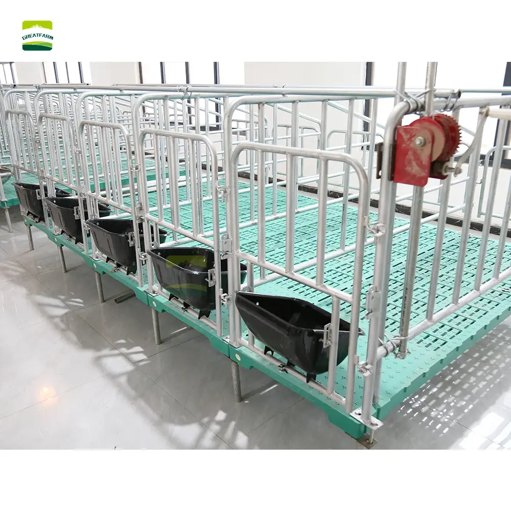 GREAT FARM  galvanized pig pen Integrated installation of specialized equipment for sow positioning pens and breeding farms