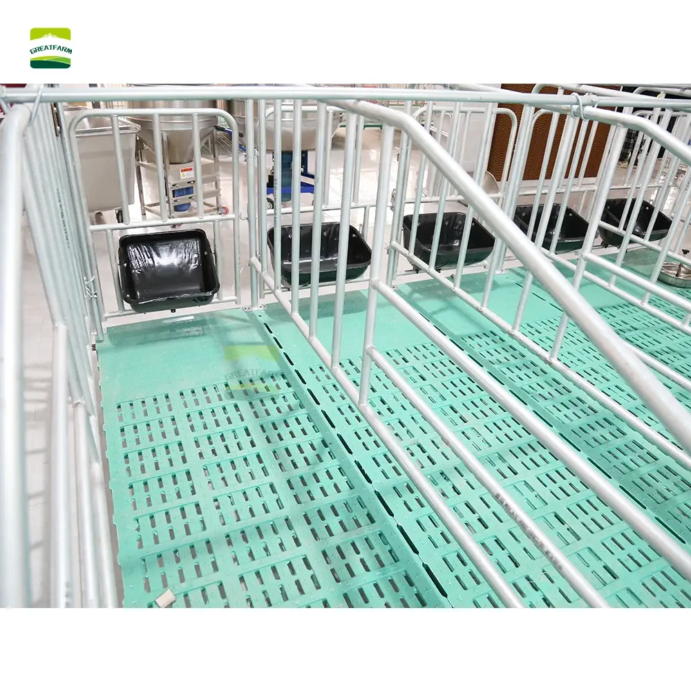 GREAT FARM  galvanized pig pen Integrated installation of specialized equipment for sow positioning pens and breeding farms