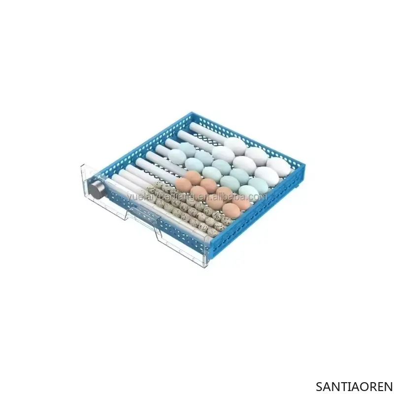 Higher Hatching Rate  Automatic Water Supply 98 Capacity Egg IncubatorAutomatic Intelligent Small Home Incubator 220V/110V/12V