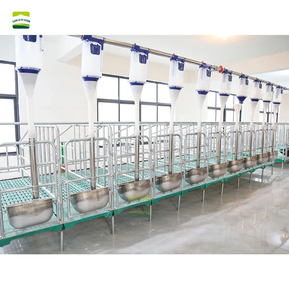 GREAT FARM  galvanized pig pen Integrated installation of specialized equipment for sow positioning pens and breeding farms