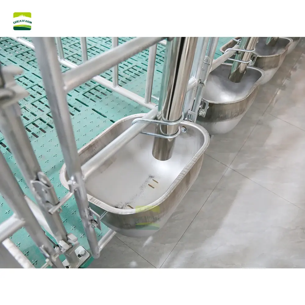 GREAT FARM  galvanized pig pen Integrated installation of specialized equipment for sow positioning pens and breeding farms