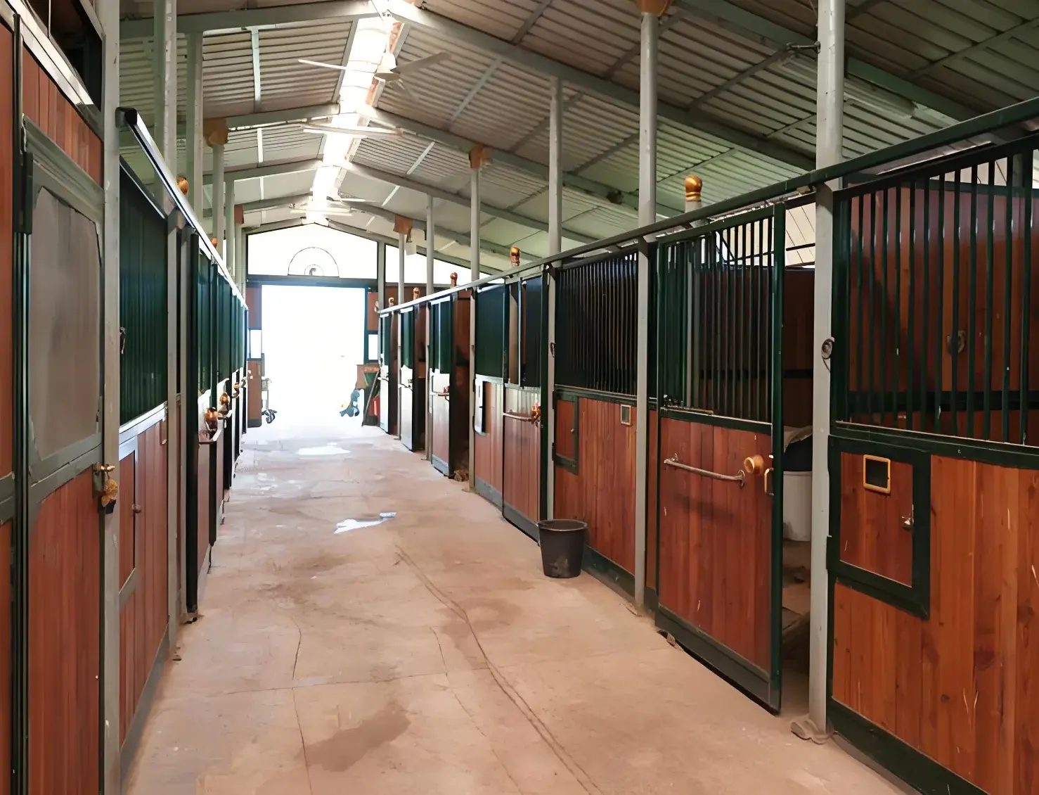 Modern Newest Stables European Style Farm Harness Cheap Printable LOGO Size Customized shed for horses