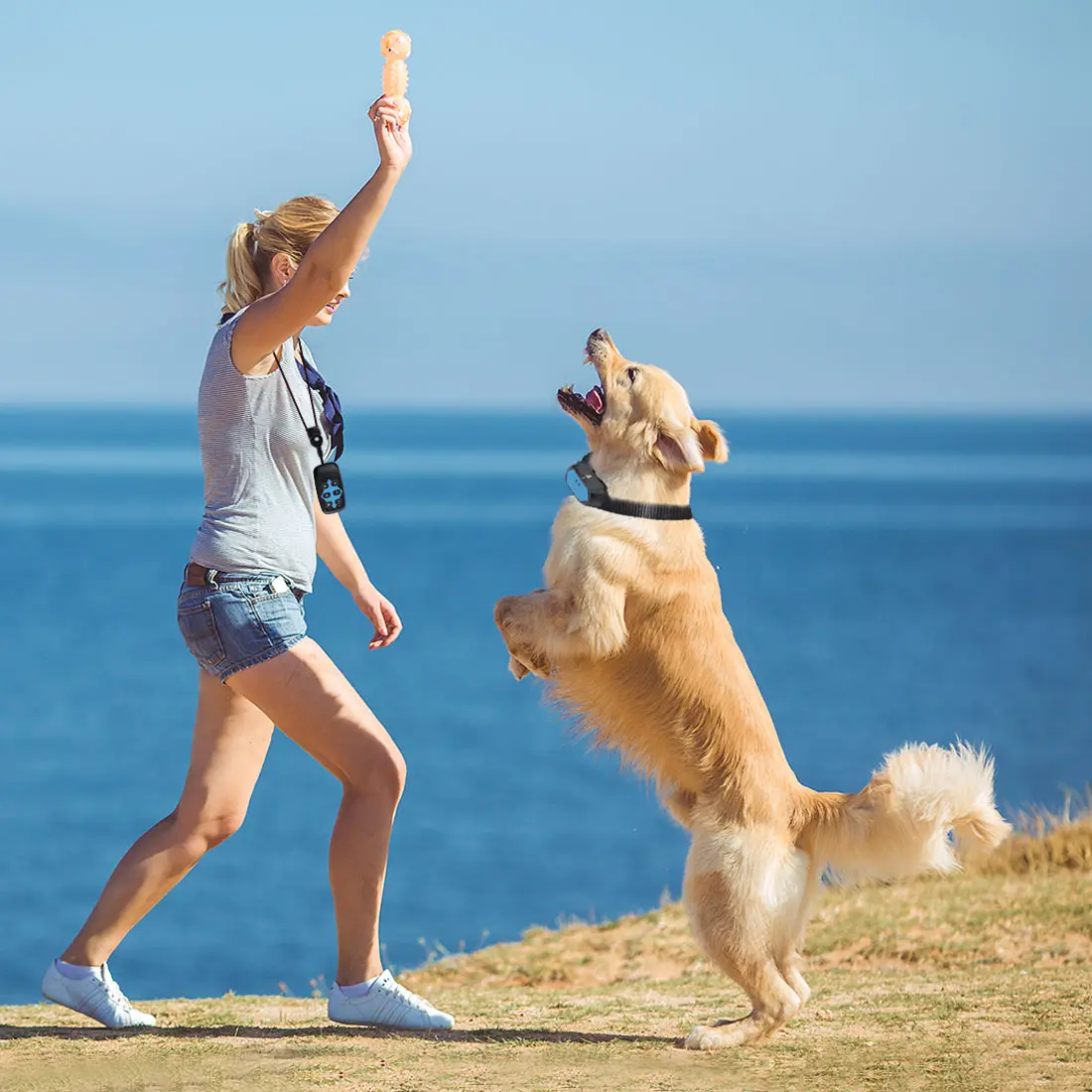 2023 Pet Products Remote Dog Training Collar Waterproof Rechargeable Spray Anti Barking Device Trainer for Dogs