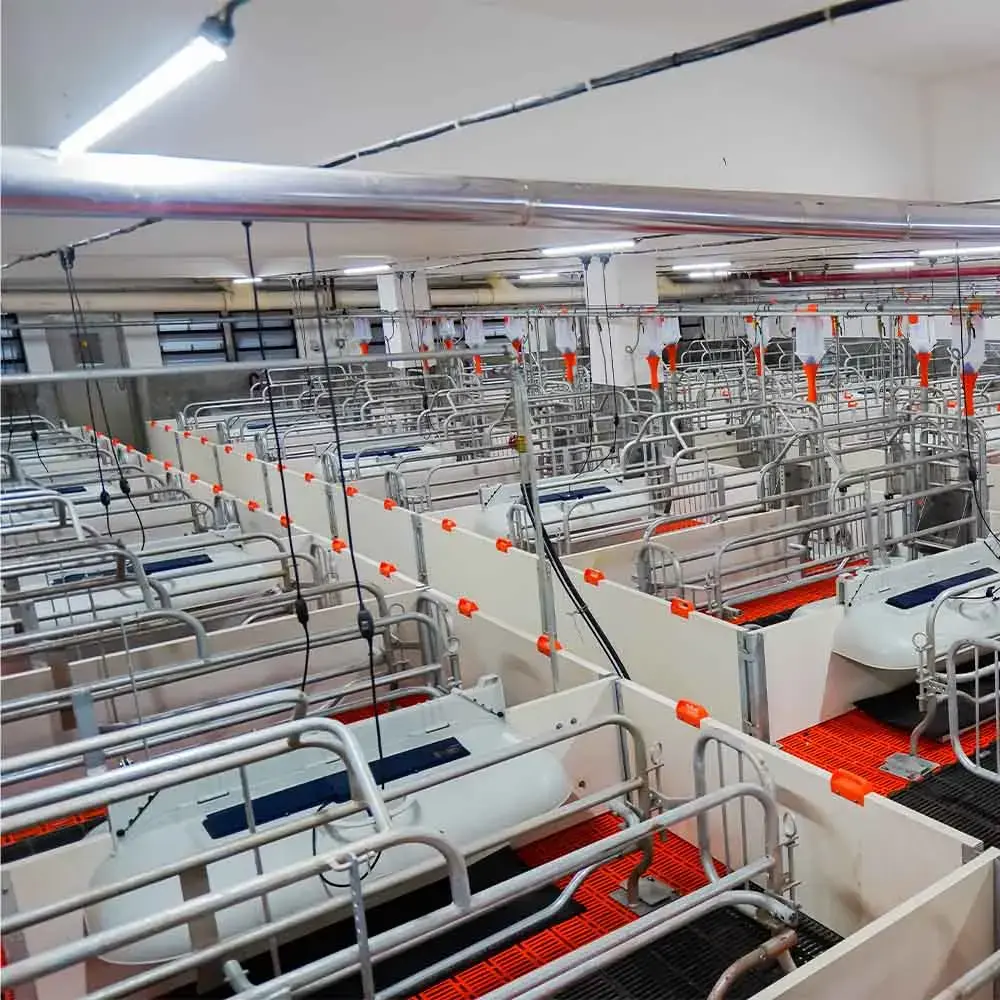 Worldwide Shipping Pig Completely Sows Pen Pig Farm Equipment Sow Childbirth Bed