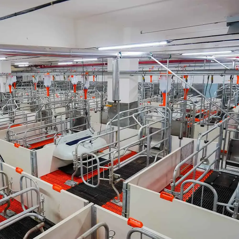 Worldwide Shipping Pig Completely Sows Pen Pig Farm Equipment Sow Childbirth Bed