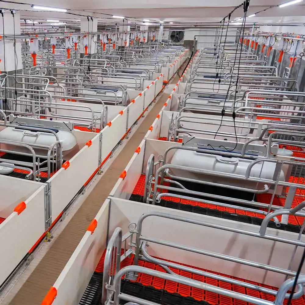 Worldwide Shipping Pig Completely Sows Pen Pig Farm Equipment Sow Childbirth Bed