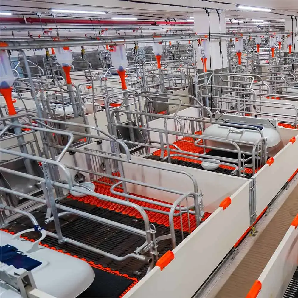 Worldwide Shipping Pig Completely Sows Pen Pig Farm Equipment Sow Childbirth Bed