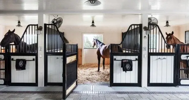 Smart Stables Premium European Architectural Design Indoor Horse Barns Well Equipped horse tools