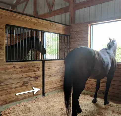 Smart Stables Premium European Architectural Design Indoor Horse Barns Well Equipped horse tools