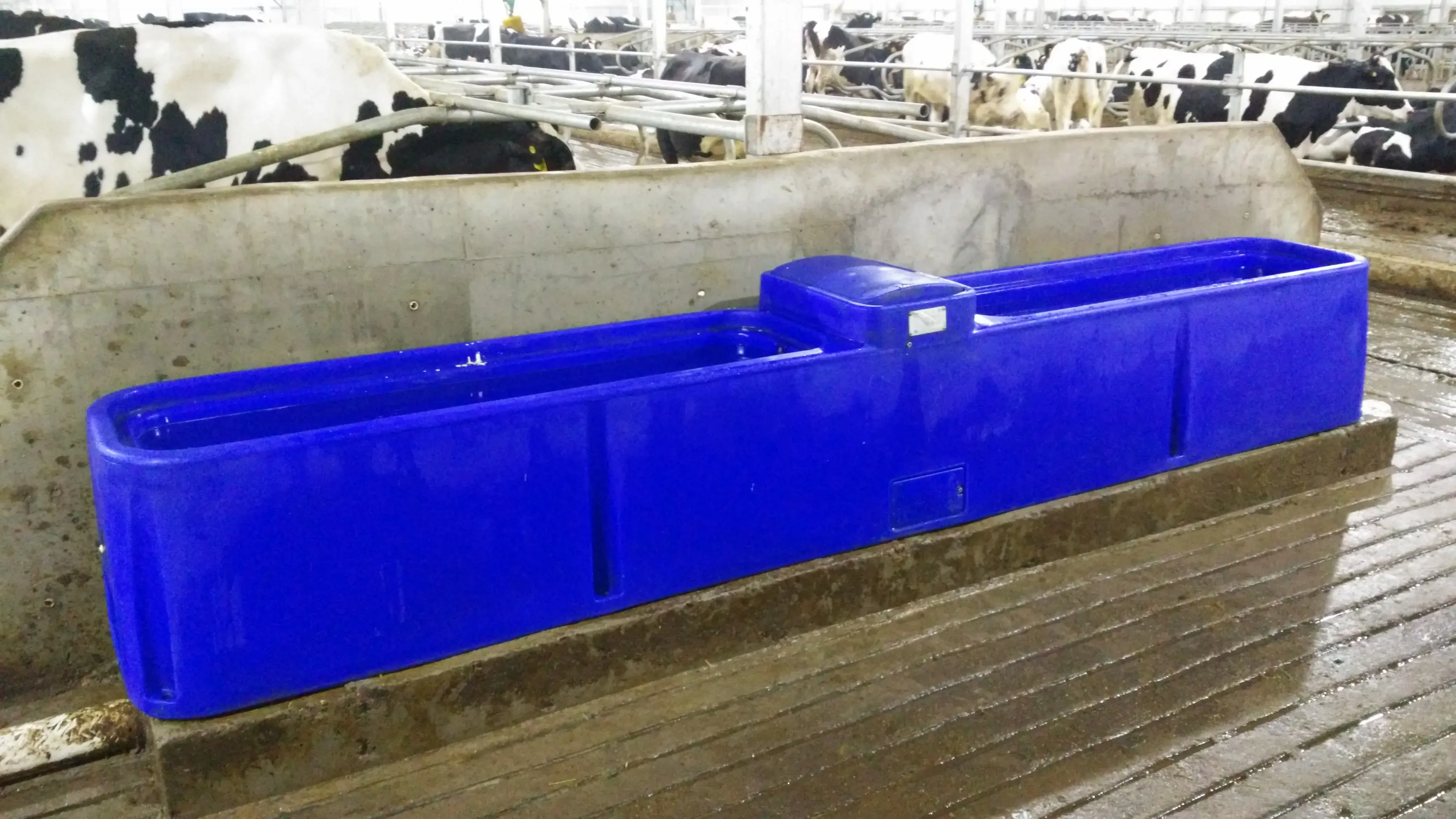 New Design Automatic Water Trough Pig Animal Drinkers Bebederos Cattle Winter Water Trough