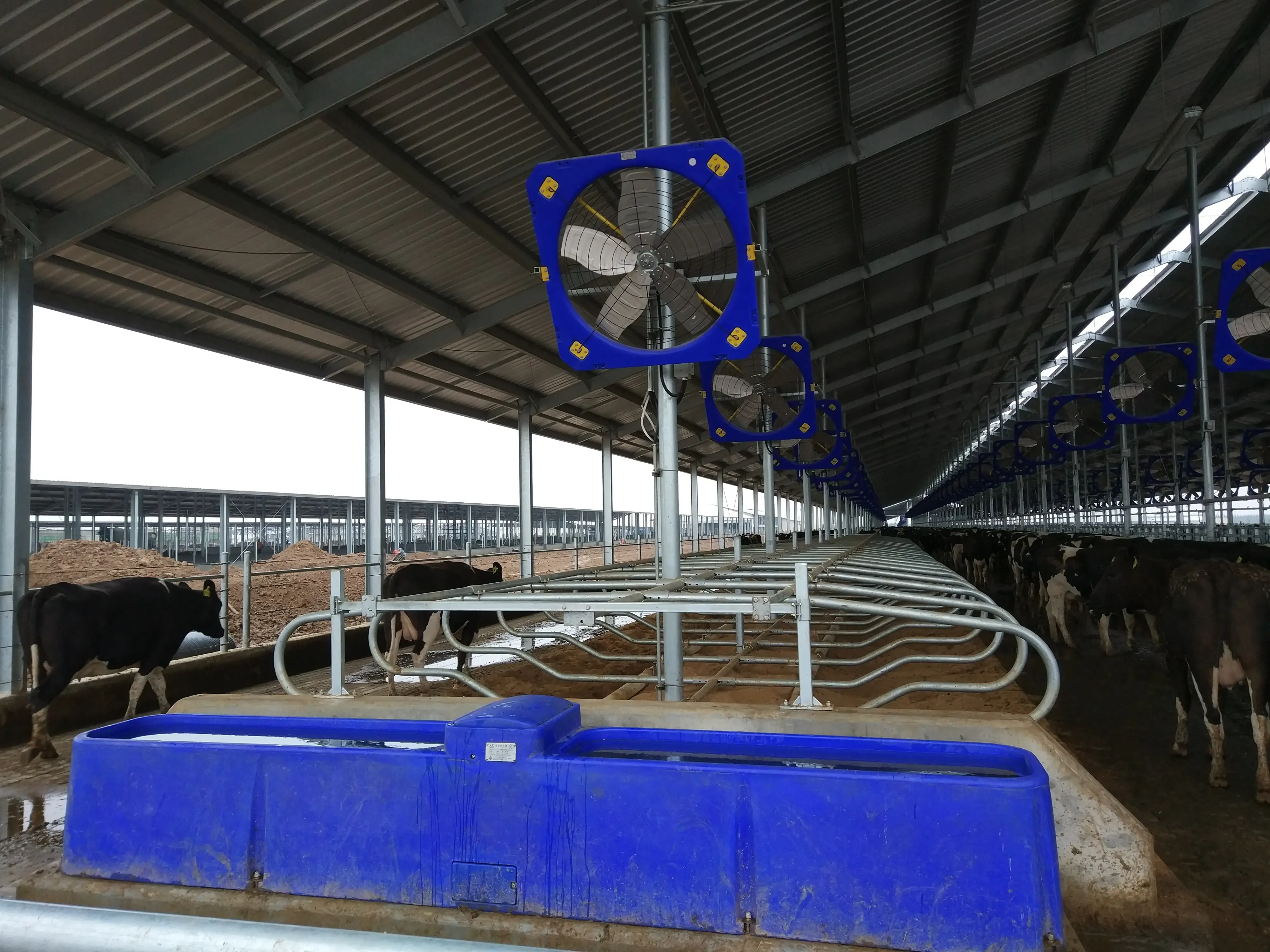 New Design Automatic Water Trough Pig Animal Drinkers Bebederos Cattle Winter Water Trough