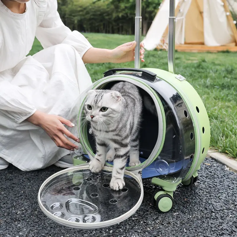 Pet Traveling Bags Easy Carrying Transparent Suitcase Large Space Pet Bags Dog Cat Carriers With Wheels