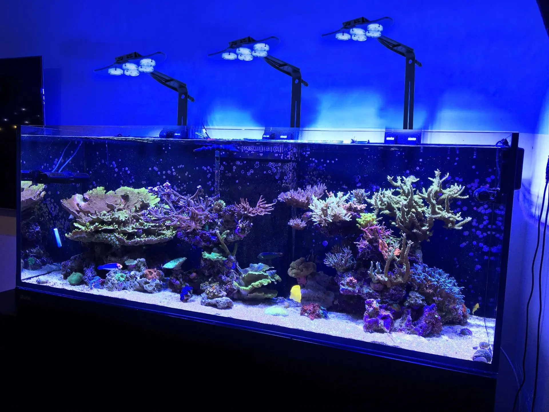 LED marine aquarium coral aquarium aquaculture lights marine tank algae lights sunrise and sunset WIFI dimming APP control