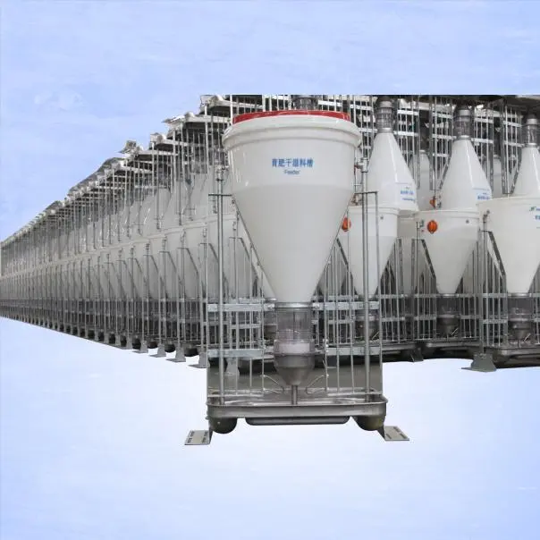 202501 Pig Farming Animal Feeders Wet and Dry Pig\ Poultry Feeder