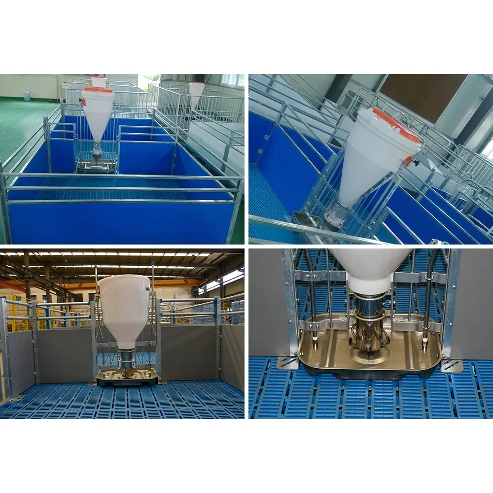 202501 Pig Farming Animal Feeders Wet and Dry Pig\ Poultry Feeder