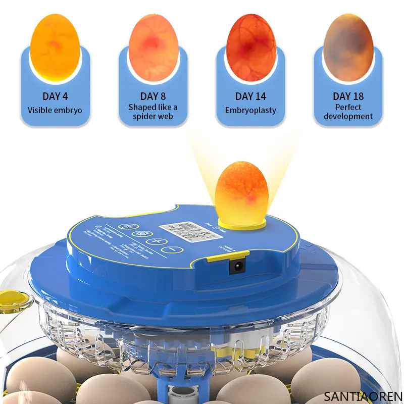 Mini Full Automatic Incubators 18 Eggs Incubator Automatic 12 Volt Battery Egg Incubator