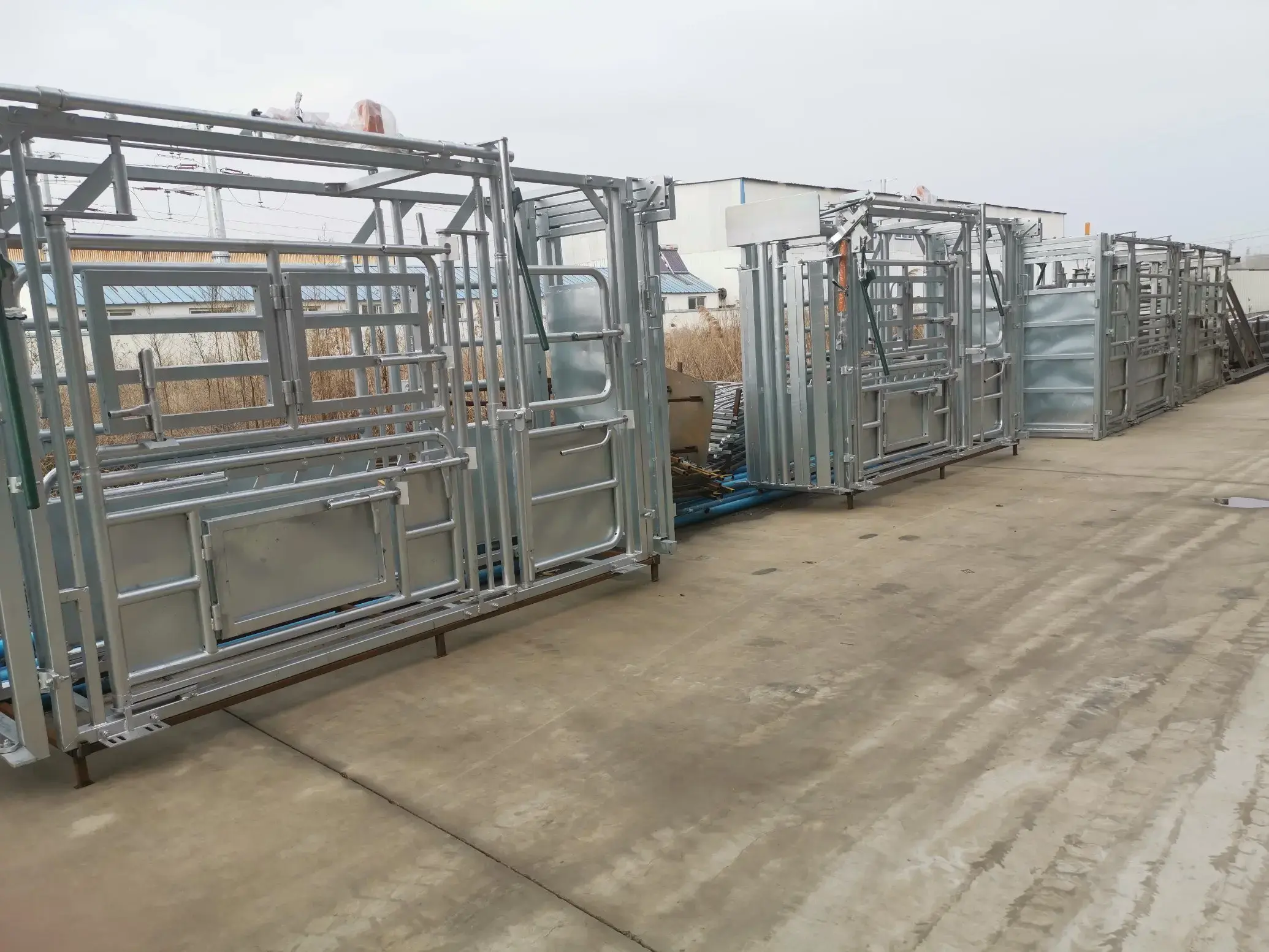 Hot DIP Galvanized Cattle Crush