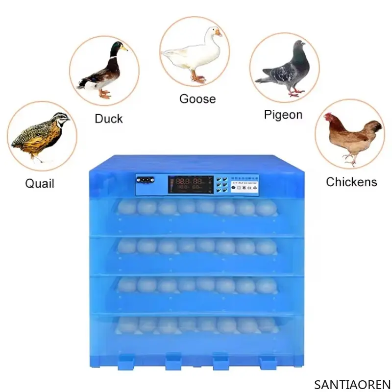 Factory Supply Small Egg Incubator High Accuracy Automatic Chicken Egg Incubator Hatching Machine