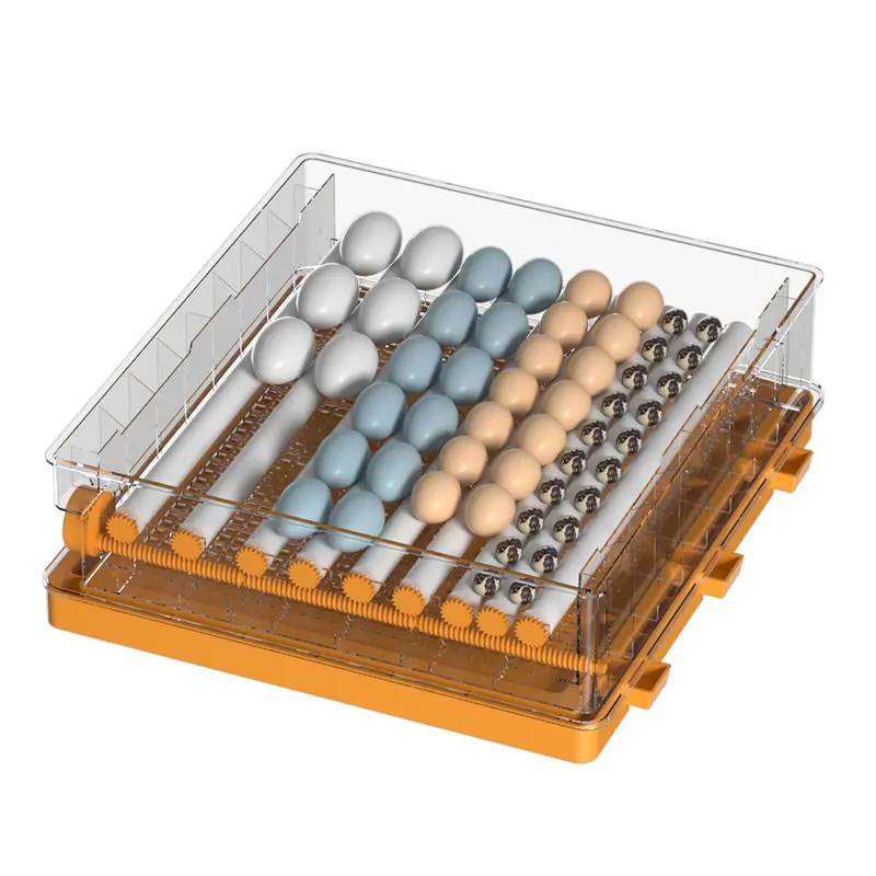 Professional Manufacture  Newest Model Automatic Mini Egg Incubator Machine