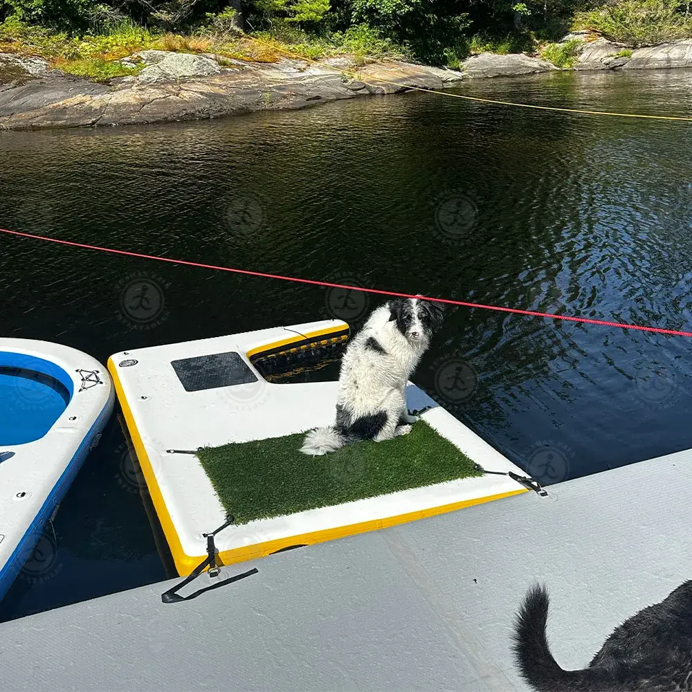 Drop Stitch Inflatable Dog Beach & Ramp Inflatable Pup Plank Floating Ramp Ladder for Pets