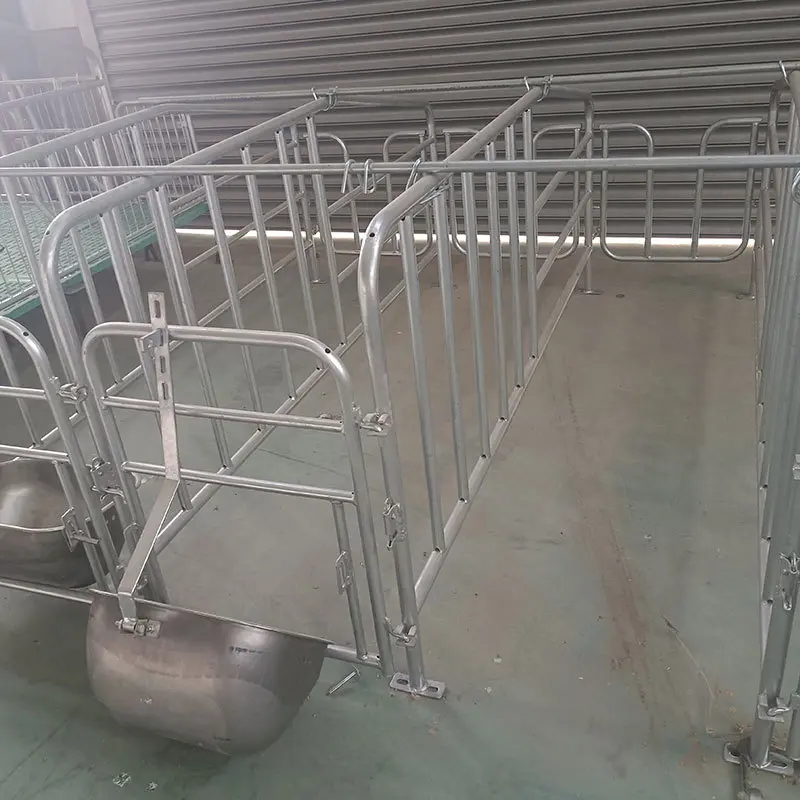 Customized Pig Breeding Equipment Piggery Sow Gestation Cage pig pen sow stall