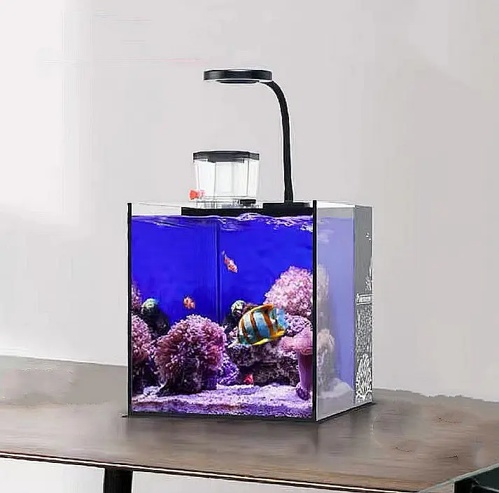 Ultra Clear Glass Mini Salt Water Marine Aquarium Fish Tank for Marine