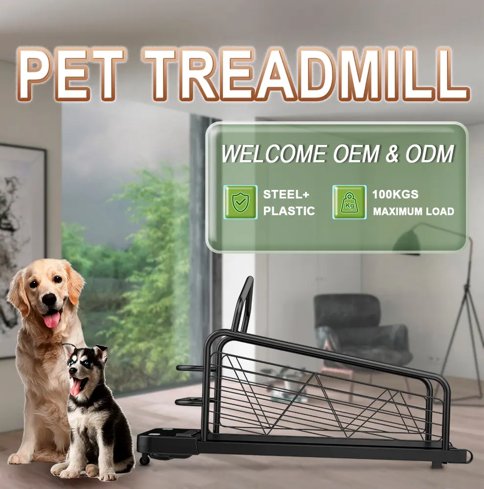 Gym at Home with LED Screen Electric Wireless Heart Rate & Calories  Pets Products  Dog Treadmill  Training Equipment