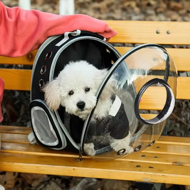 Pet Carrier Bagpack Travel Bag Carrying Design Dog Cat Transport Breathable Folding Cages