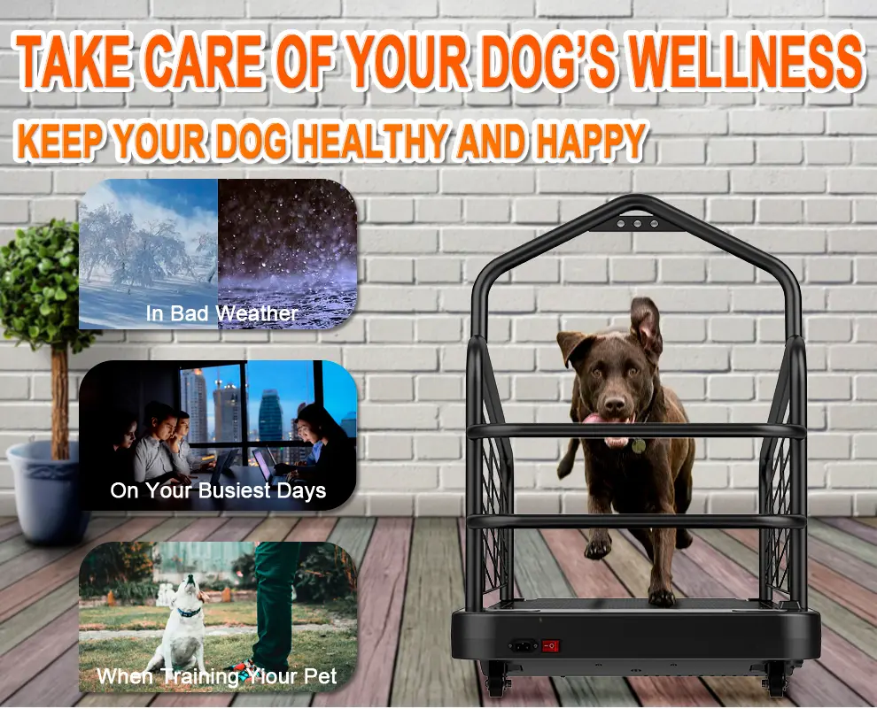 Gym at Home with LED Screen Electric Wireless Heart Rate & Calories  Pets Products  Dog Treadmill  Training Equipment
