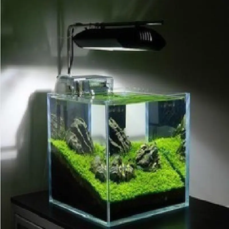 25 Gallon Ultra White Open Glass Fish Tank Coral Marine Aquarium