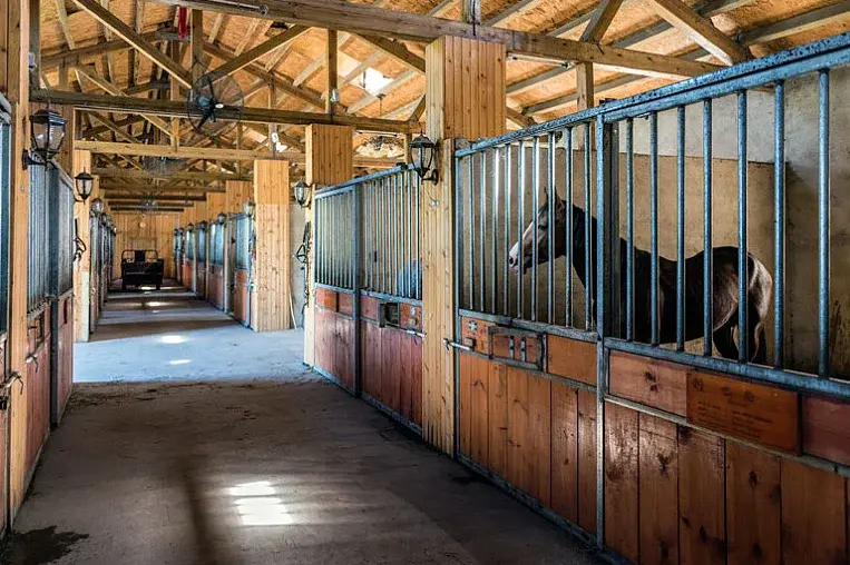 Overseas Best Seller Horse Fence Bamboo Wood Panel Steel Structure Simple Installation Safe and Reliable horse bam