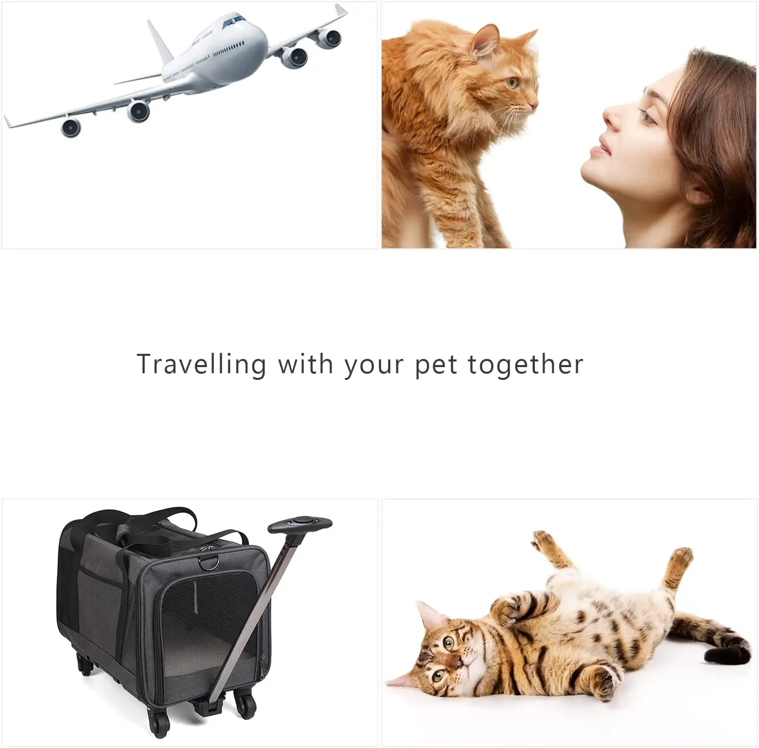 Portable Travel Carry Luggage for Small Dog Cat Travel Carry Crate Airline Approved Cat Carrier Bag With Wheels