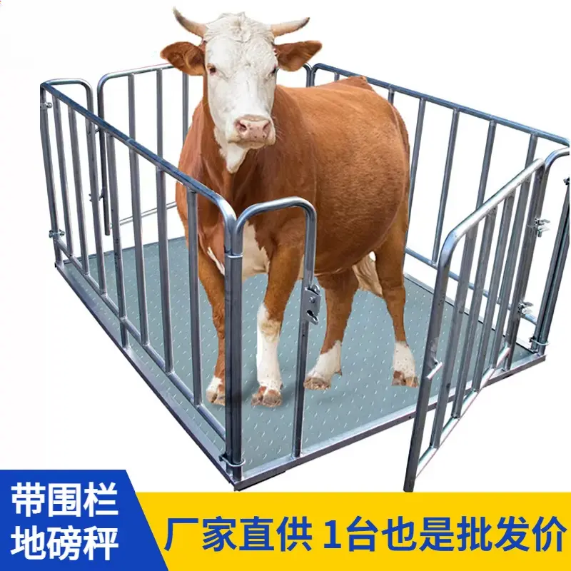 wholesale electronic floor animal scale livestock weighing kit cattle livestock weighing scales for farm