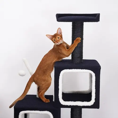 Factory Direct Sale Cats Toy Tree House Accessories Pet Cat Climbing Frame Exercise