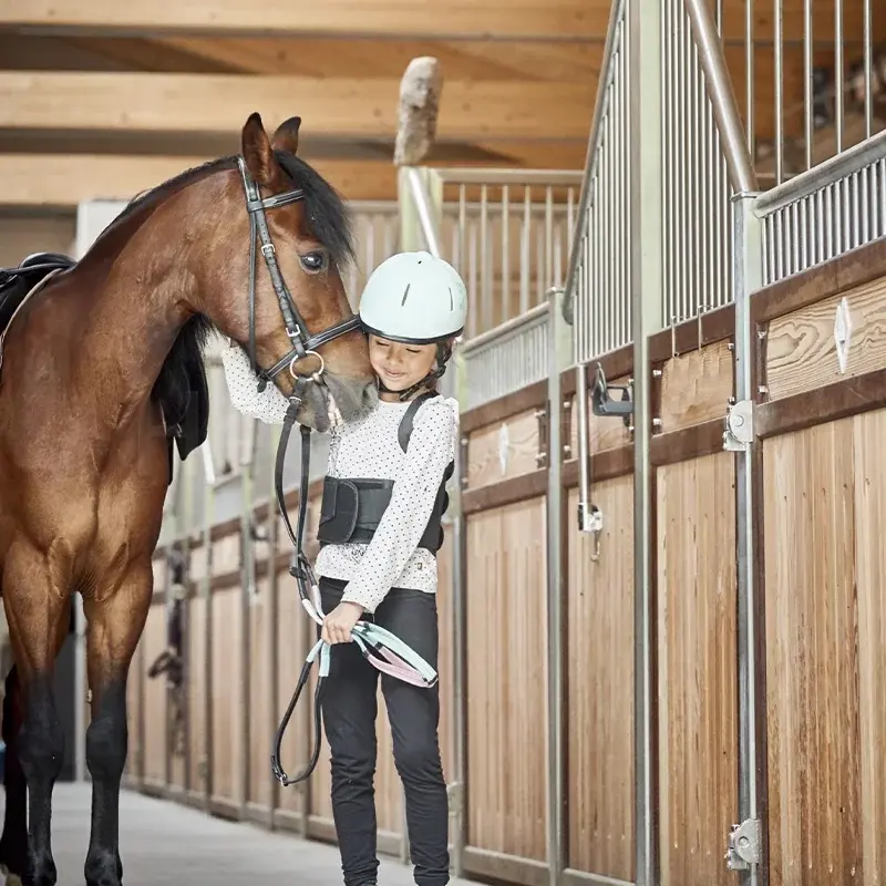 Equestrian Sliding Door Metal Frame Bamboo Horse Stable Panels With Steel Frame