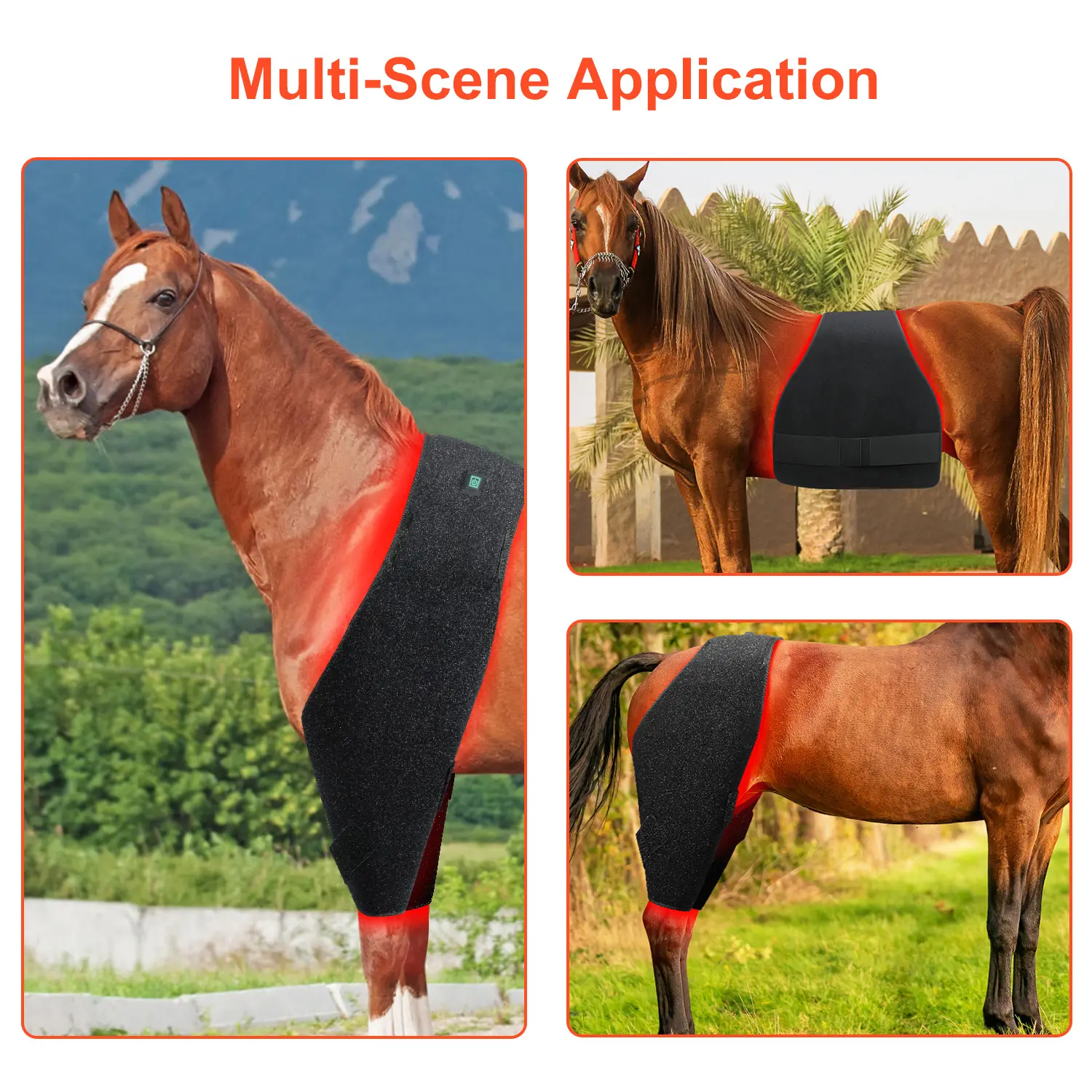 Equine 660nm 850nm Red Light Therapy blanket Battery powered Horse Pony Pair of Stifle Wraps for Equine belly Therapy