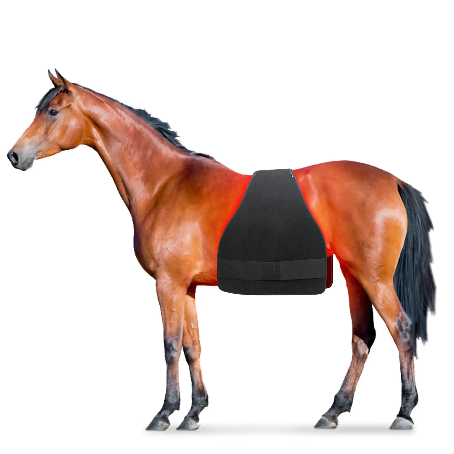 Equine 660nm 850nm Red Light Therapy blanket Battery powered Horse Pony Pair of Stifle Wraps for Equine belly Therapy