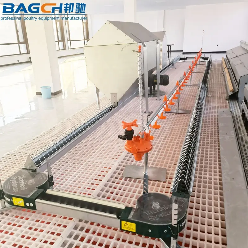 High Quality Broiler Breeder Farm Equipment Female Hens Poultry Chain Feeding Equipment Price