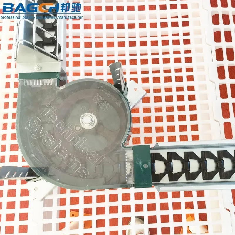 High Quality Broiler Breeder Farm Equipment Female Hens Poultry Chain Feeding Equipment Price