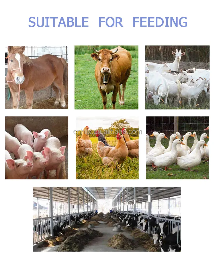 Diesel Chaff Cutter Machine Mini Chaff Straw Crusher Poultry Animal Cattle Feed Making Grass Shredder Silage Chopper