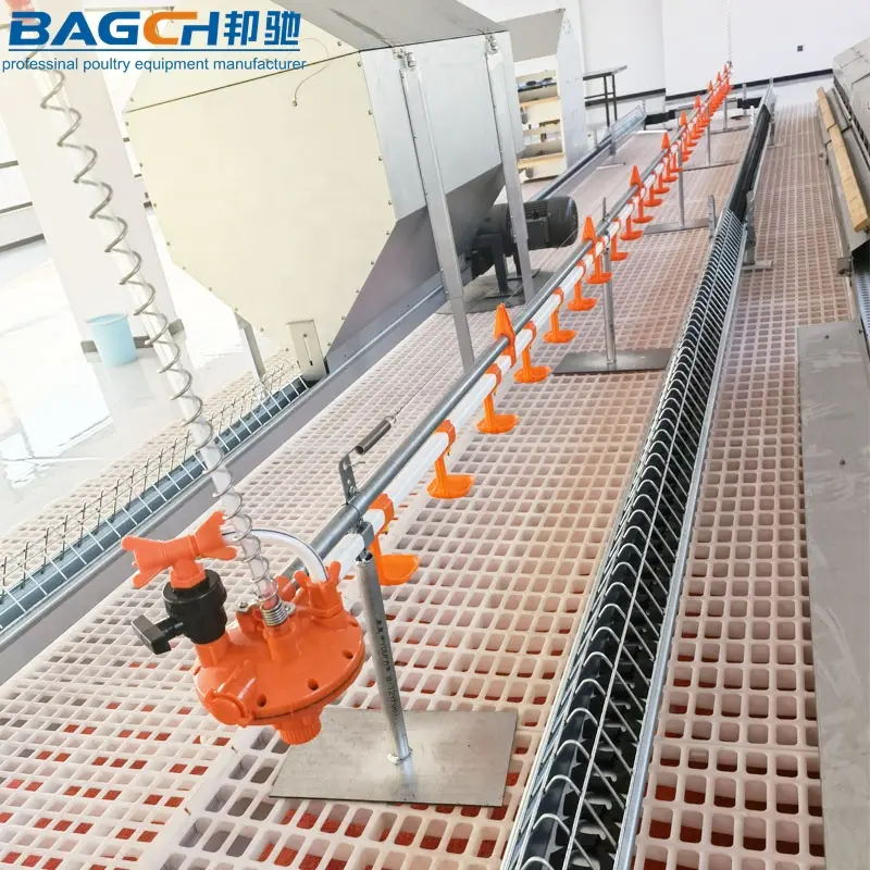High Quality Broiler Breeder Farm Equipment Female Hens Poultry Chain Feeding Equipment Price