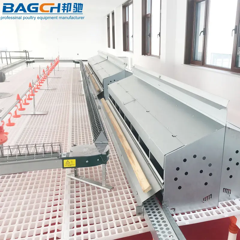 High Quality Broiler Breeder Farm Equipment Female Hens Poultry Chain Feeding Equipment Price